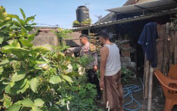 Sinergi Bhabinkamtibmas dan Warga, Kolaborasi Aktif Wujudkan Ketahanan Pangan di Desa Kuranji