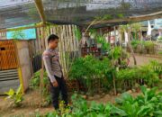 Dukung Program Asta Cita, Bhabinkamtibmas Desa Bangkat Monteh Dampingi Warga Kelola Pekarangan Bergizi