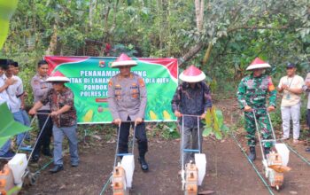 Polres Lombok Utara Gandeng Ponpes Tanam Jagung Serentak