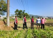 Polri Hadir Bantu Petani Jagung Wujudkan Swasembada di Lombok Barat