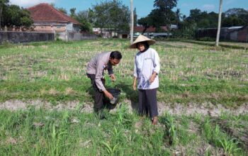 Bhabinkamtibmas Kuripan Dorong Warga Manfaatkan Pekarangan untuk Ketahanan Pangan