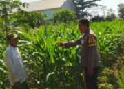 Bhabinkamtibmas Telagawaru Edukasi Petani Soal Lahan Pekarangan Bergizi