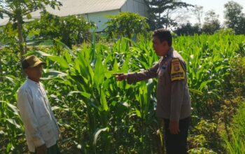 Bhabinkamtibmas Telagawaru Edukasi Petani Soal Lahan Pekarangan Bergizi
