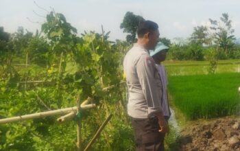 Polri Gerakkan Petani Lombok Barat Sukseskan Program Ketahanan Pangan Nasional