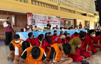 Polda NTB Ungkap 12 Kasus Narkoba, 23 Tersangka Diamankan