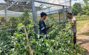 BHABINKAMTIBMAS TONGO DAMPINGI WARGA KELOLA LAHAN PEKARANGAN UNTUK PANGAN BERGIZI