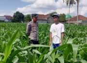 Bhabinkamtibmas Kuripan Ajak Warga Dusun Due Pelet Wujudkan Ketahanan Pangan