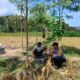 Dukung Ketahanan Pangan, Bhabinkamtibmas Lembar Beri Semangat Petani Jagung di Eyat Mayang
