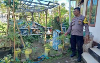 Bhabinkamtibmas Desa Senggigi Edukasi Warga soal Pertanian Rumah Tangga