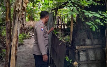 Polsek Batulayar Perkuat Ketahanan Pangan Lewat Edukasi Warga Senggigi