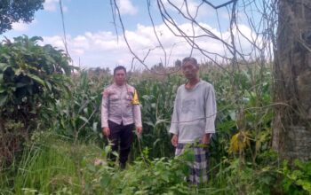 Polri Hadir Bantu Petani Jagaraga Tingkatkan Produktivitas Lahan Pertanian