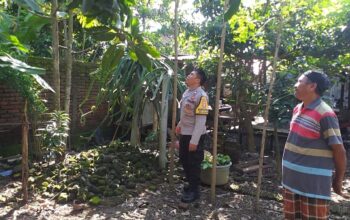 Polsek Kuripan Gandeng Warga Dusun Beremi Tingkatkan Kemandirian Pangan