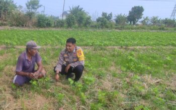 Sinergi Polri dan Warga Kuranji Dorong Desa Mandiri Pangan