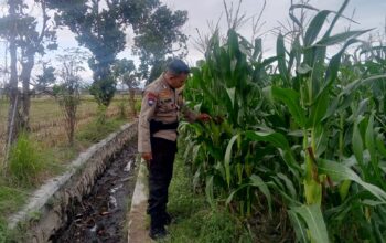 Bhabinkamtibmas Terong Tawah Dorong Pemanfaatan Pekarangan untuk Ketahanan Pangan