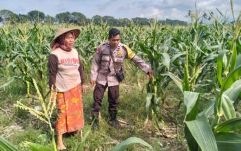 Polsek Labuapi Dorong Kemandirian Pangan Warga Karang Kebon