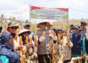 Polres Bima Kota Gelar Panen Raya Jagung Serentak Kuartal III di Desa Pesa, Wawo