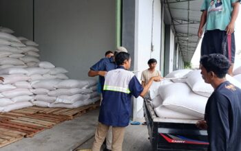 Bulog Mataram Serap 3,4 Ton Jagung Petani Gerung dengan Pengawalan Polisi