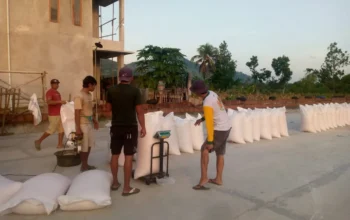 Polsek Kuripan Dorong Ketahanan Pangan Melalui Pendampingan Petani Jagung di Gerung