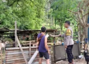 Sinergi Polsek Batulayar dan Warga Senggigi Wujudkan Desa Mandiri Pangan