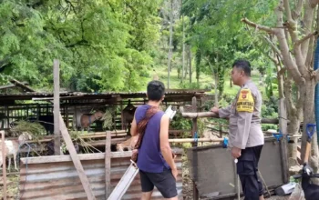 Sinergi Polsek Batulayar dan Warga Senggigi Wujudkan Desa Mandiri Pangan
