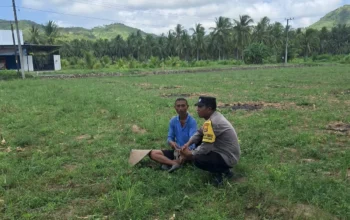 Polisi Desa Jadi Penggerak Ekonomi Warga Lewat Program Tanam Jagung