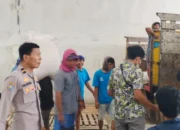 Petani Lega! Jagung Kering Terserap Bulog dengan Harga Acuan Pemerintah