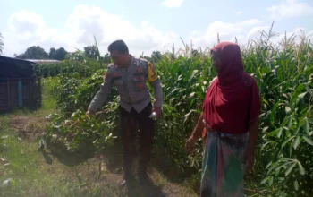 Bhabinkamtibmas Kuripan Dorong Warga Mandiri Pangan