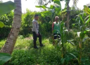 Sinergi Polri dan Petani di Lombok Barat Perkuat Kemandirian Pangan