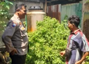 Optimalkan Lahan Kosong, Warga Senggigi Diedukasi Diversifikasi Pangan