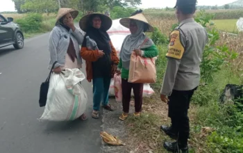 Peran Polisi di Balik Panen Jagung Sukses Petani Lombok Barat
