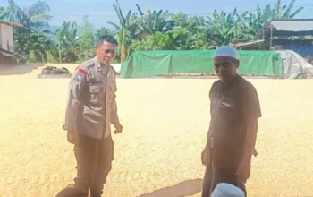 Bhabinkamtibmas Dorong Ketahanan Pangan Lewat Gudang Jagung di Babussalam