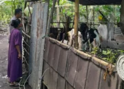 Bhabinkamtibmas Senggigi Ajak Warga Kelola Lahan Kosong Jadi Sumber Pangan