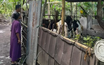 Bhabinkamtibmas Senggigi Ajak Warga Kelola Lahan Kosong Jadi Sumber Pangan