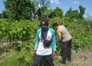 Bhabinkamtibmas Jagaraga Dorong Petani Manfaatkan Lahan Produktif