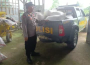 Polsek Lembar Bantu Petani Jual Jagung ke BULOG Tanpa Tengkulak