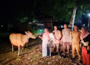 Polsek Lunyuk Kembalikan Sapi dan Barang Bukti kepada Pemilik Sah 