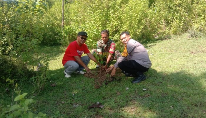 Peringati Hari Penanaman Pohon, Bhabinkamtibmas dan Elemen Desa Semamung Hijaukan Bale Kawa