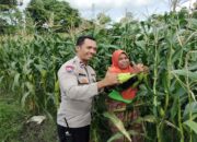 Sinergi Polri dan Warga Labuapi Wujudkan Kemandirian Pangan Keluarga