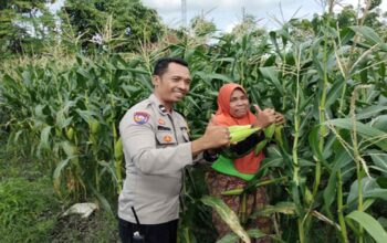 Polsek Labuapi Ajak Warga Optimalkan Pekarangan Demi Ketahanan Pangan
