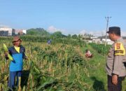 Bhabinkamtibmas Labuapi Ajak Warga Karang Bongkot Sulap Pekarangan Jadi Lumbung Pangan