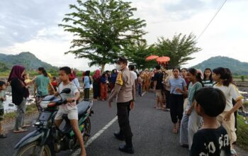 Nyongkolan Suku Sasak di Kuripan: Polisi Urai Kepadatan Lalin