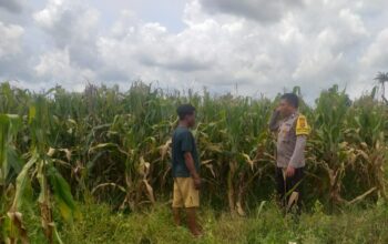 Sinergi Polri dan Warga Wujudkan Kemandirian Pangan di Lombok Barat