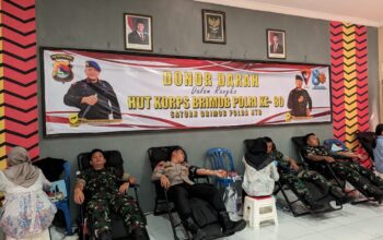 Satbrimob Polda NTB Gelar Donor Darah Sambut HUT ke-80 Korps Brimob Polri
