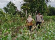 Polisi Ajak Warga Lombok Barat Wujudkan Desa Mandiri Pangan