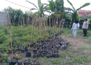 Polisi Batulayar Ajak Warga Meninting Tanam Sayur di Lahan Tidur