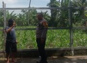 Aksi Polsek Labuapi: Ubah Pekarangan Sempit Jadi Lumbung Pangan