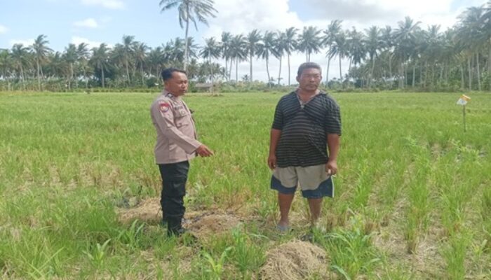 Bhabinkamtibmas Gerung Ajak Warga Manfaatkan Lahan Kosong