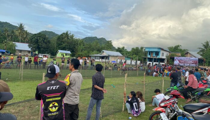 Kearifan Lokal Terjaga, Karapan Ayam di Sapugara Bree Berlangsung Aman