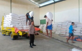 Jaga Stabilitas Pangan, Polsek Gerung Dampingi Penjualan Jagung