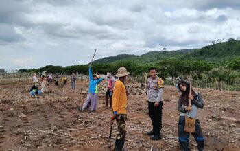 BHABINKAMTIBMAS DESA HU’U LAKUKAN PEMANTAUAN LAHAN JAGUNG, DUKUNG PROGRAM KETAHANAN PANGAN NASIONAL